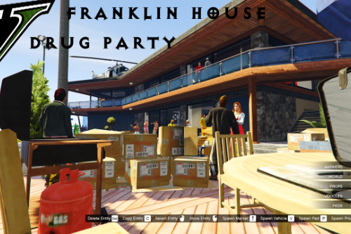Franklin House Drug Party
